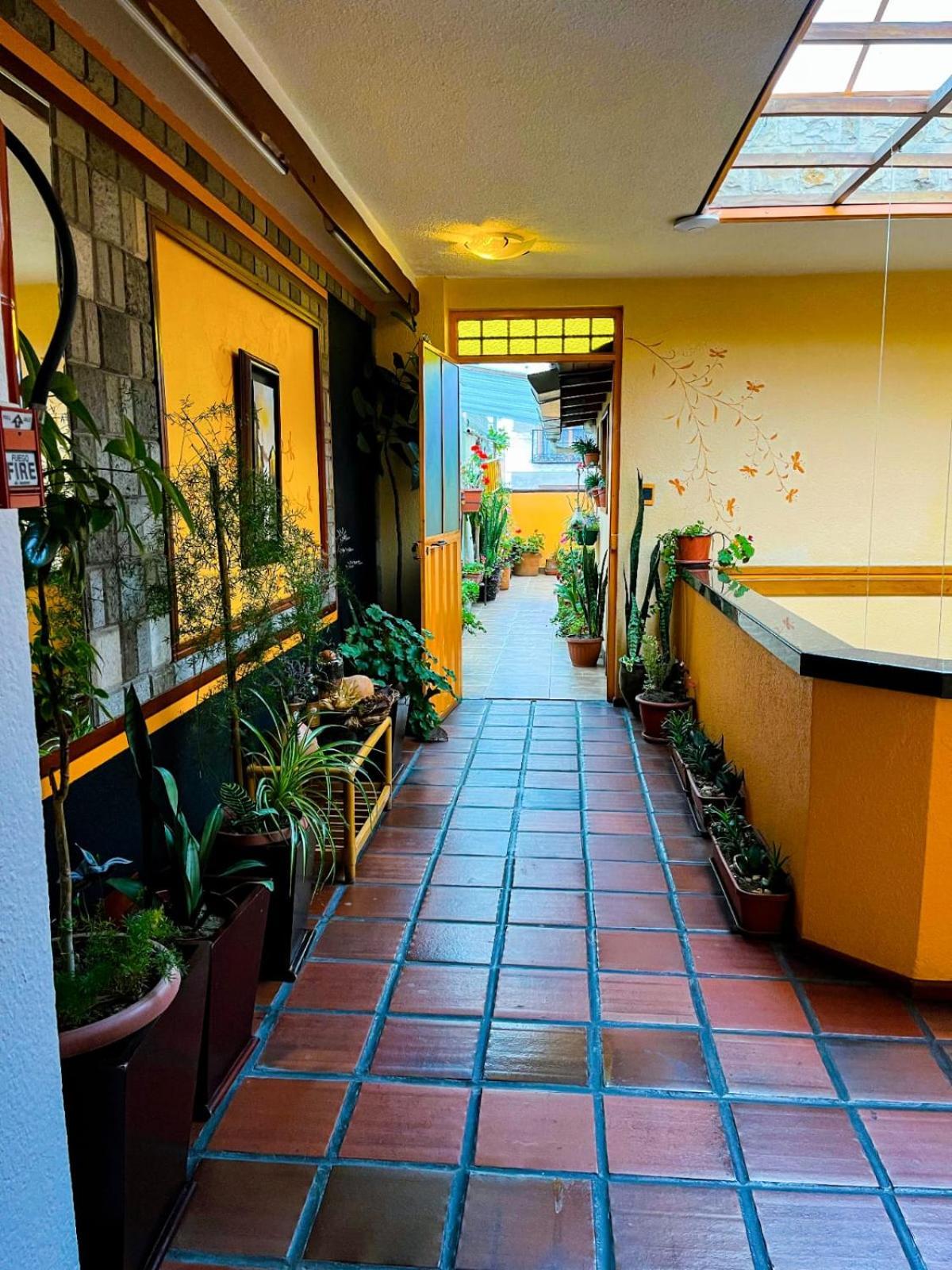 לטקונגה Hotel Rodelu מראה חיצוני תמונה